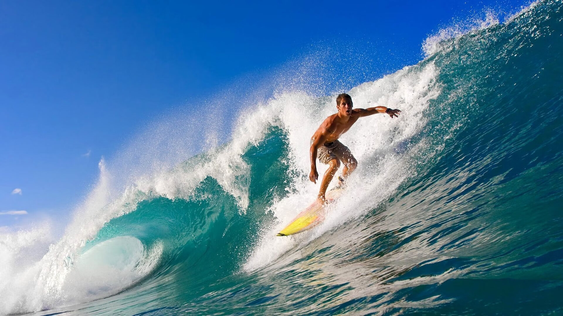 _阳光节：在公共广场打造全民运动嘉年华_，公园广场公益活动